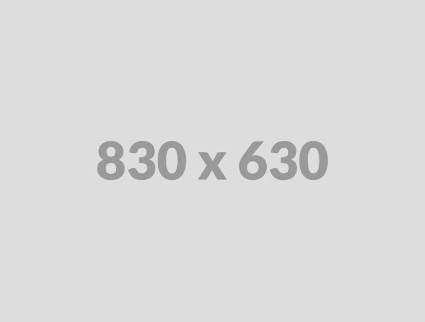 Lorem Ipsum Case Study