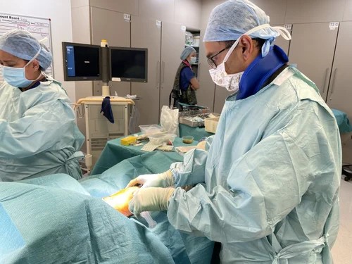 ACL reconstruction, patella and ligament surgery